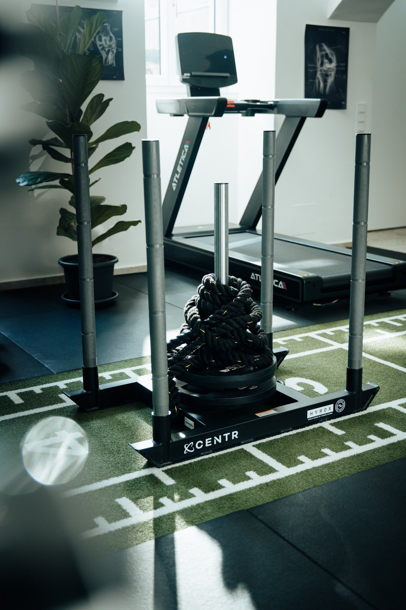 Personal Training 1130 Wien - PRYME Personal Training