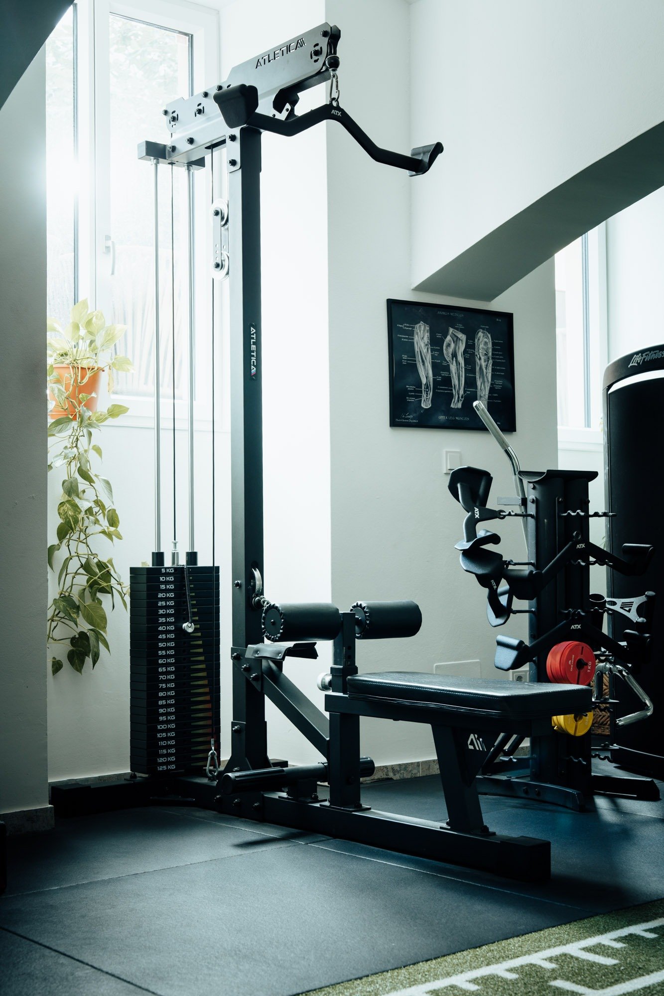 Personal Training 1130 Wien - PRYME Personal Training