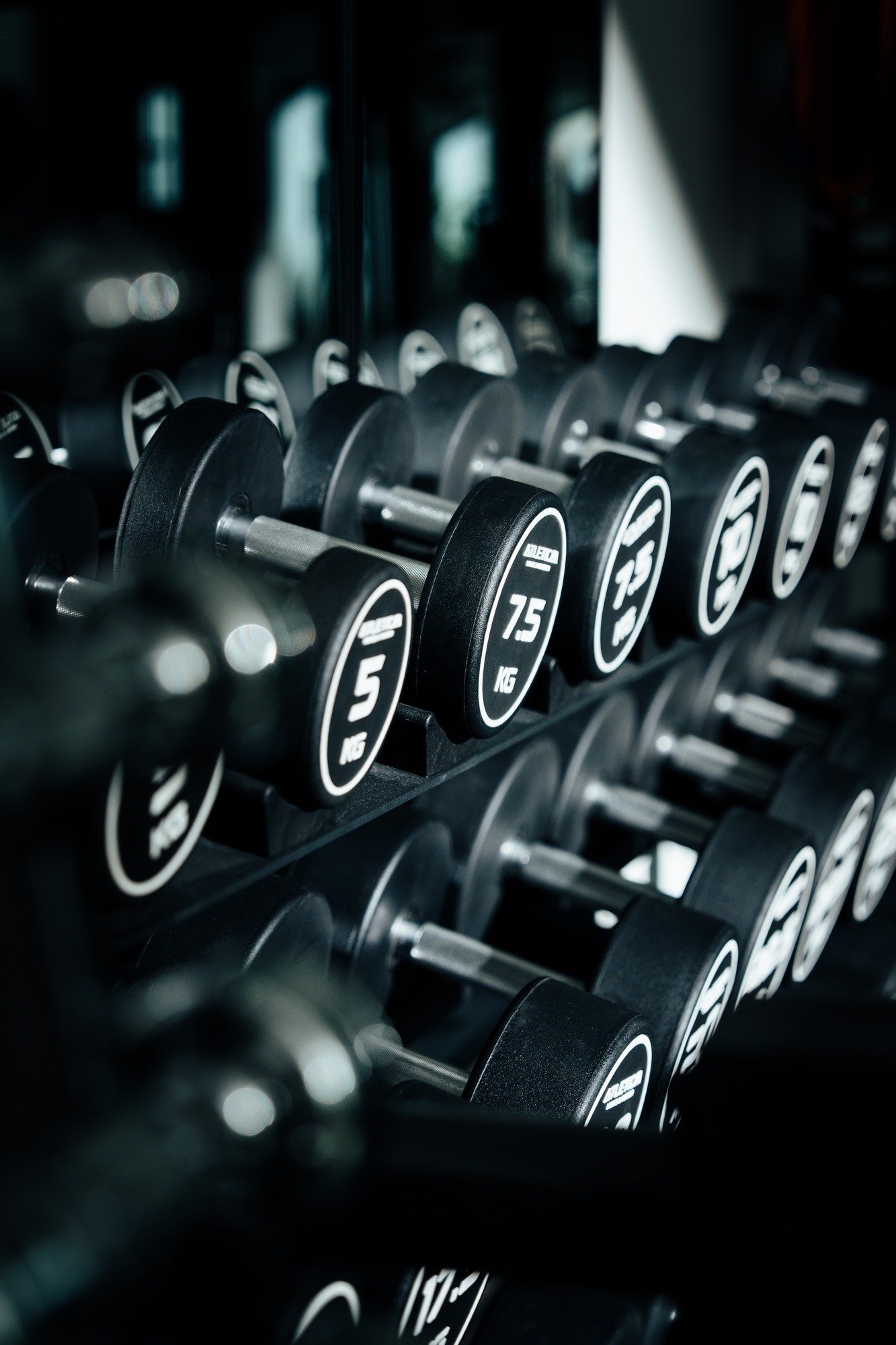 Personal Training 1130 Wien - PRYME Personal Training